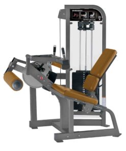 Hammer Strenght Select Seated Leg Curl