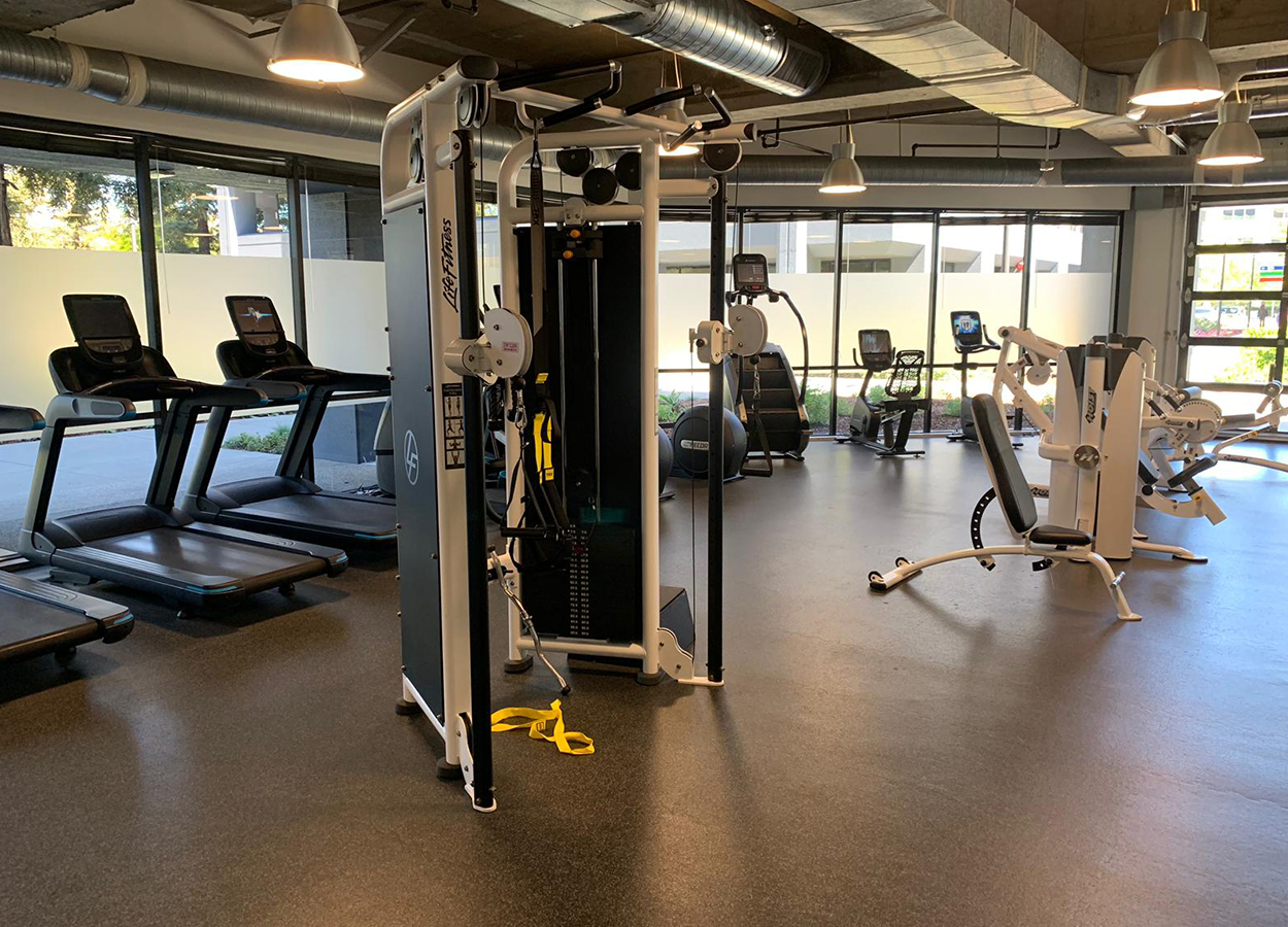 Office Building Collection 2 Used Gym Equipment