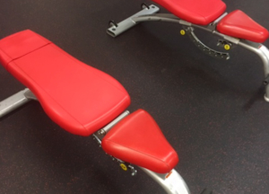 Benches and Racks Woodway Cybex Wholesale Gym Package