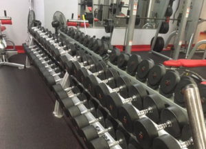 Freeweights Woodway Cybex Wholesale Gym Package