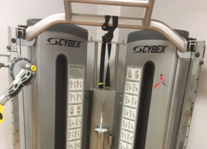 Selectorized Equipment Woodway Cybex Wholesale Gym Package
