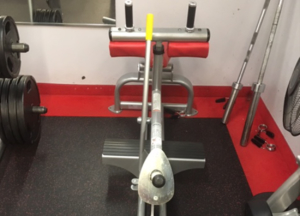 Selectorized Equipment Woodway Cybex Wholesale Gym Package