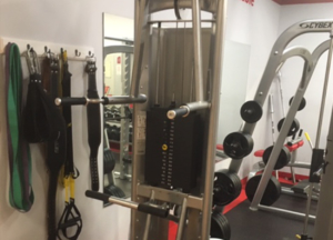 Selectorized Equipment Woodway Cybex Wholesale Gym Package